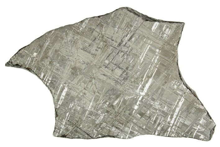 Etched Gibeon Iron Meteorite ( g) Slice - Namibia #334664